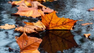 Дождь и снег ожидаются на большей части Казахстана во вторник