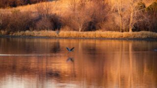 Дожди и тепло прогнозируют в Казахстане на ближайшие выходные