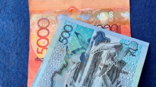 Эксперт пояснила, что надо делать с налоговой нагрузкой в Казахстане