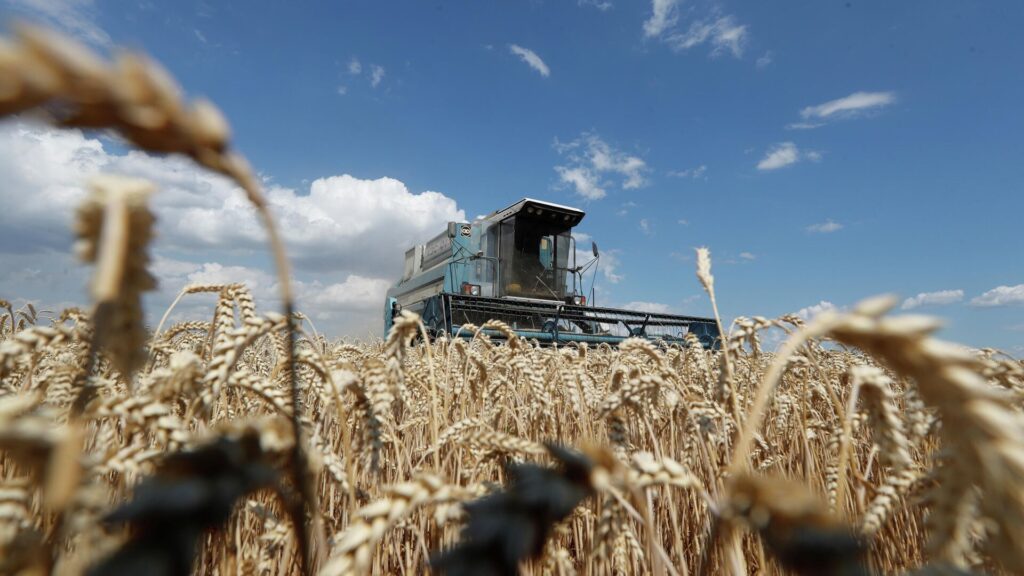 Фото: REUTERS/Valentyn Ogirenko.