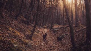 Физическая активность снижает риск развития рака у женщин, показывает исследование