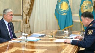 Глава государства принял министра внутренних дел Ержана Саденова  