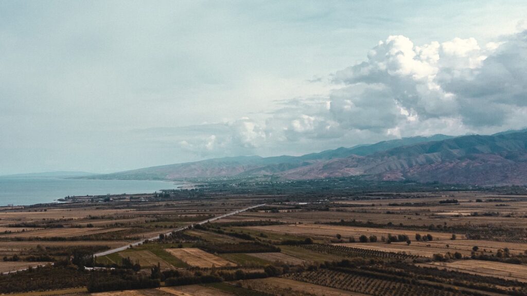 Фото: Unsplash
