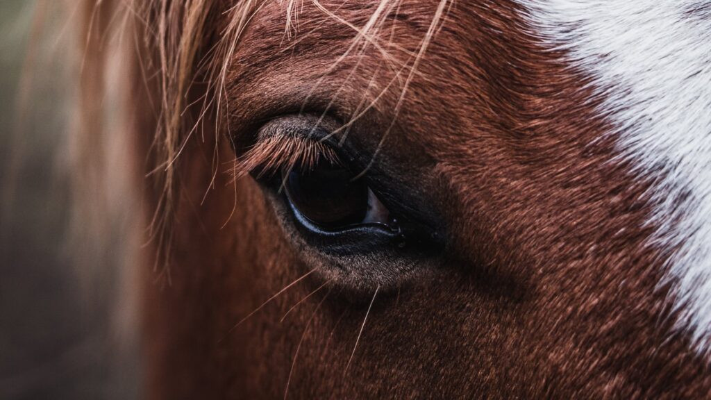 Фото: unsplash.com.