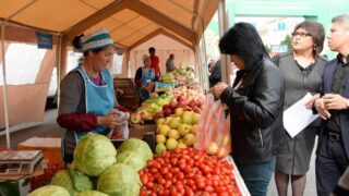 В Алматы не хватает прямых поставок овощей для рынков