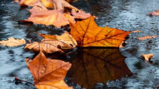 На большей части Казахстана в среду ожидаются снег и дождь