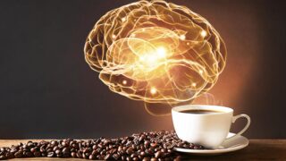 Названы вредные эффекты кофеина для памяти и работы мозга