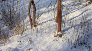 Неустойчивая погода ожидается на большей части территории Казахстана: дождь, снег, гололед и метель