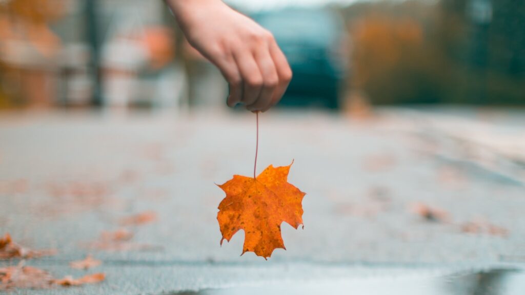 Фото: unsplash.com.