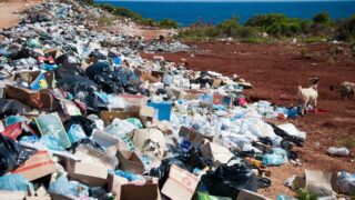 В области Жетісу утилизированы опасные отходы без лицензии