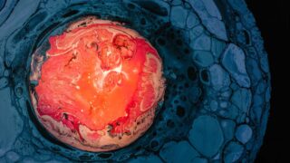 Открытие ученых: металлическое ядро Земли оказалось мягче, чем предполагалось