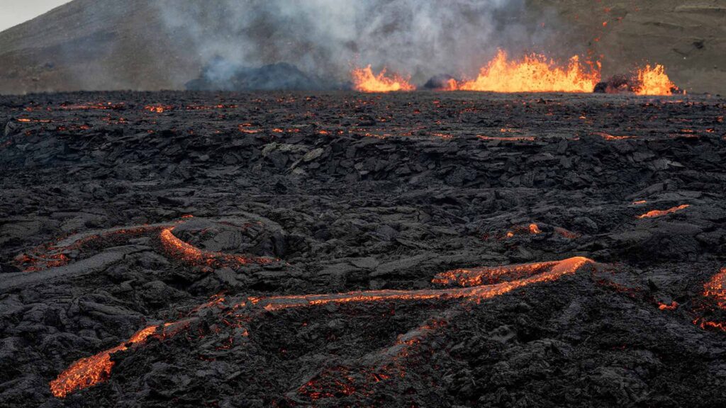 Фото: Ken Cedeno/Reuters