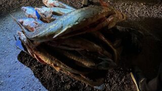 Партию осетровых рыб изъяли у жителя Мангистау