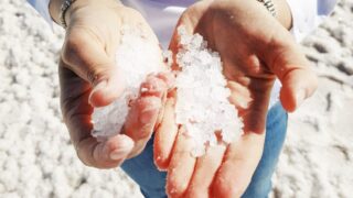 Почему вмешательство человека в глобальный солевой цикл очень опасен