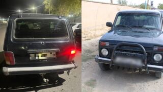 Подозреваемый угонщик автомобиля пастуха задержан в Кызылорде