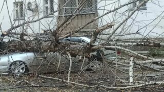 Полицейские предупредили жителей Семея