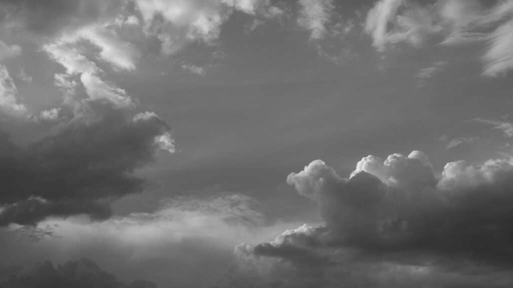 Фото: Unsplash