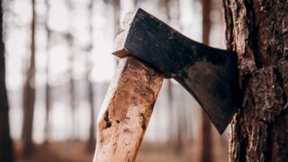 Прокуратура выявила нарушения природоохранного законодательства в Жамбылской области