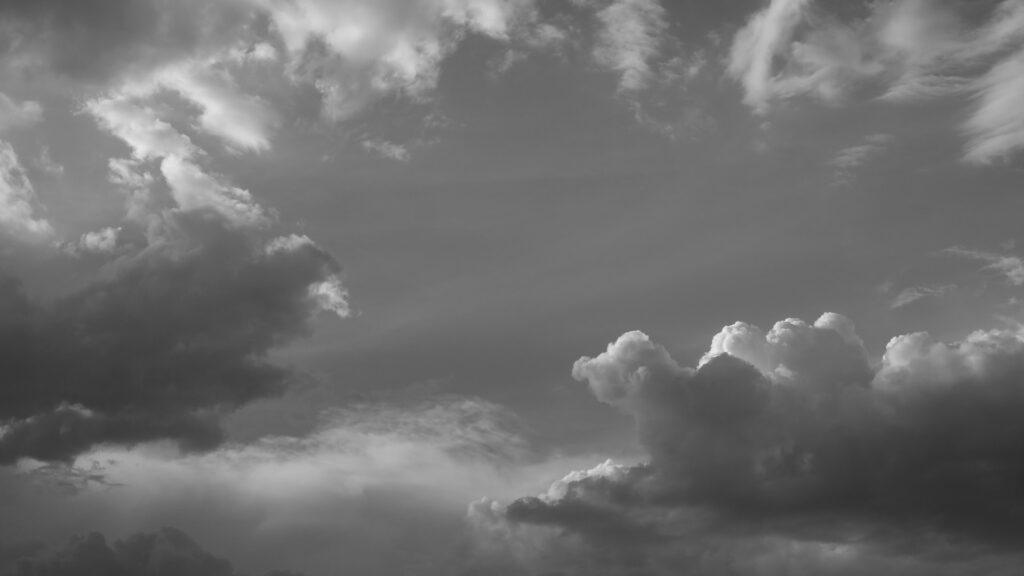 Фото: Unsplash