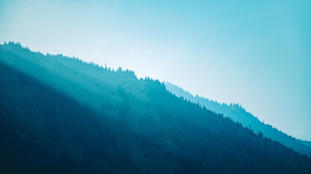 Фото: Unsplash