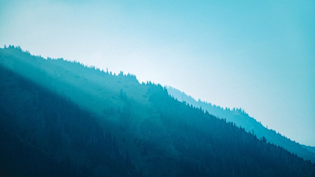 Фото: Unsplash