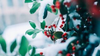 Снег и метель ожидаются в Казахстане 31 октября