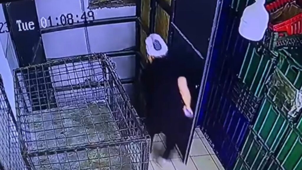 Фото: кадр из видео