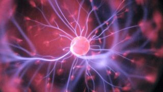 Ученые обнаружили, что превращение иммунных клеток мозга в нейроны восстанавливает повреждения у мышей