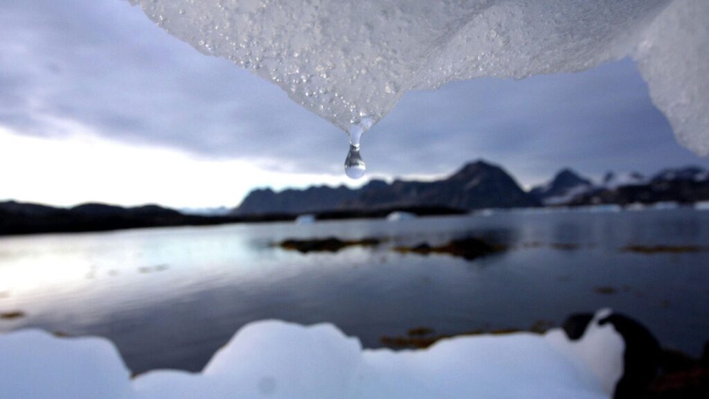 Фото: AP Photo/John Mcconnico.