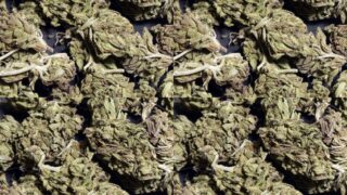 Отец и сын осуждены за незаконное хранение, перевозку и сбыт наркотических средств