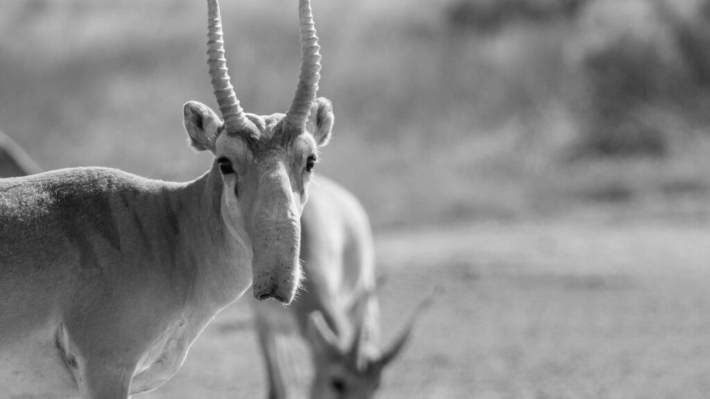 Фото: Depositphotos.com / Rostovdriver