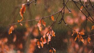 В четверг на большей части территории Казахстана ожидается неустойчивый характер погоды