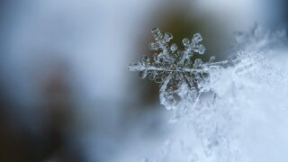 На Новый год в Алматы пройдет снегопад