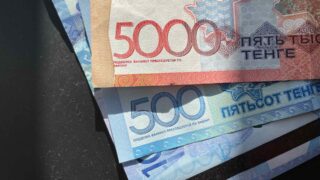 Государственного алиментного фонда в Казахстане не будет