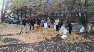 В Кокшетау более 3 тысяч человек поучаствовали в масштабной экологической акции