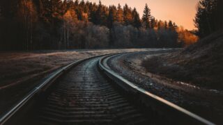 В Северо-Казахстанской области под грузовой поезд попали 20 овец