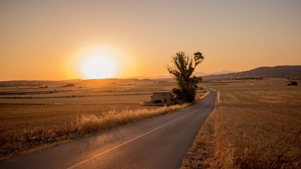 Фото: pixabay.com.