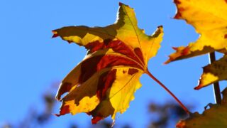 В среду на большей части территории Казахстана ожидается погода без осадков