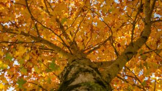 Во вторник на большей части территории Казахстана ожидается погода без осадков