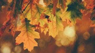 Во вторник в ряде регионов Казахстана ожидаются дожди, снег и заморозки