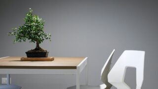 За 9 месяцев 2023 года площадь введенных в эксплуатацию офисов выросла на 17%