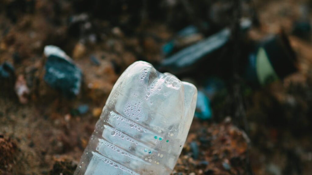Фото: Unsplash