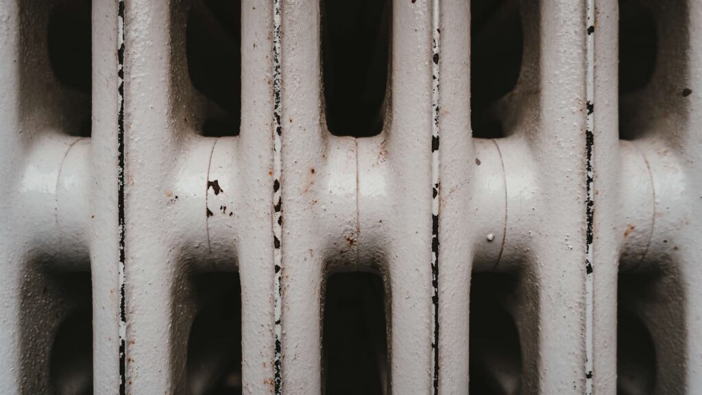 Фото: Unsplash