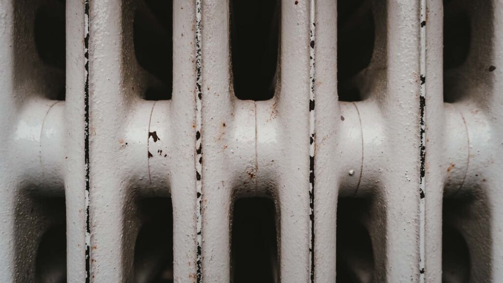 Фото: Unsplash