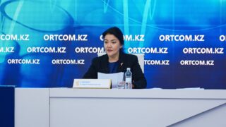 Ажар Гиният прокомментировала информацию о «Рюкзаках на 48 миллиардов»