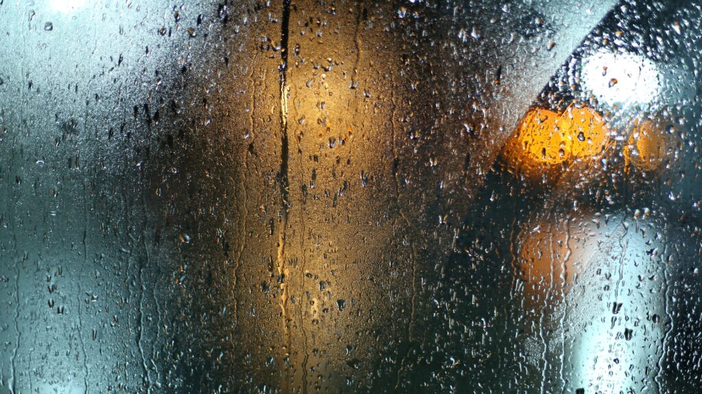 Фото: C. G. / Unsplash