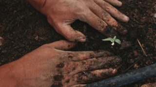 Фермерам Павлодарской области предоставлены миллионные платежи за землю