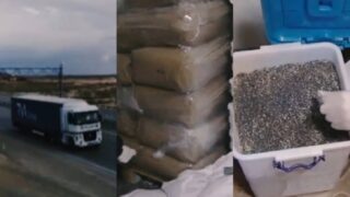 Изъято более 104 тонн маковой соломки в Казахстане после спецоперации МВД