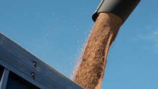 Казахстан разрешает транзитную перевозку пшеницы с 3 ноября