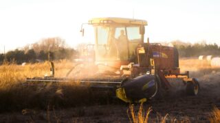 Казахстанским фермерам предоставлена отсрочка наличия «электронных карт полей» при получении субсидии